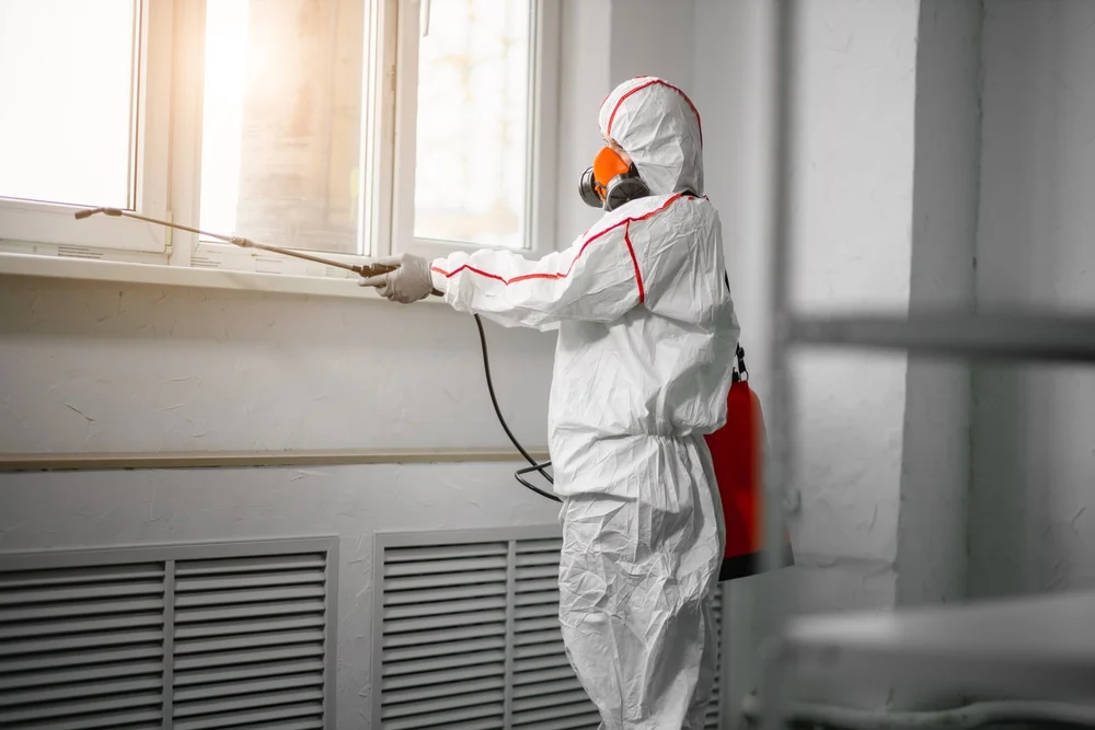 Professional mold remediation services in Grantsburg, WI
